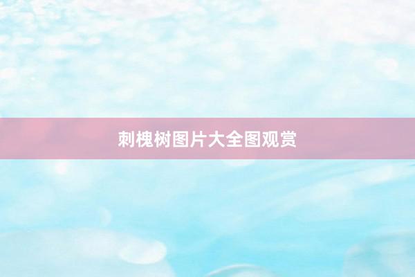 刺槐树图片大全图观赏